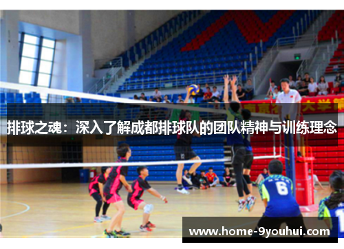 排球之魂：深入了解成都排球队的团队精神与训练理念